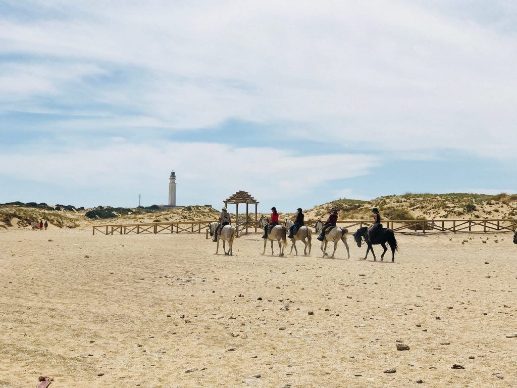 Horse riding tour in Andalucia