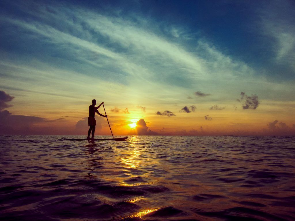 Man doing Paddle Boarding at sunset