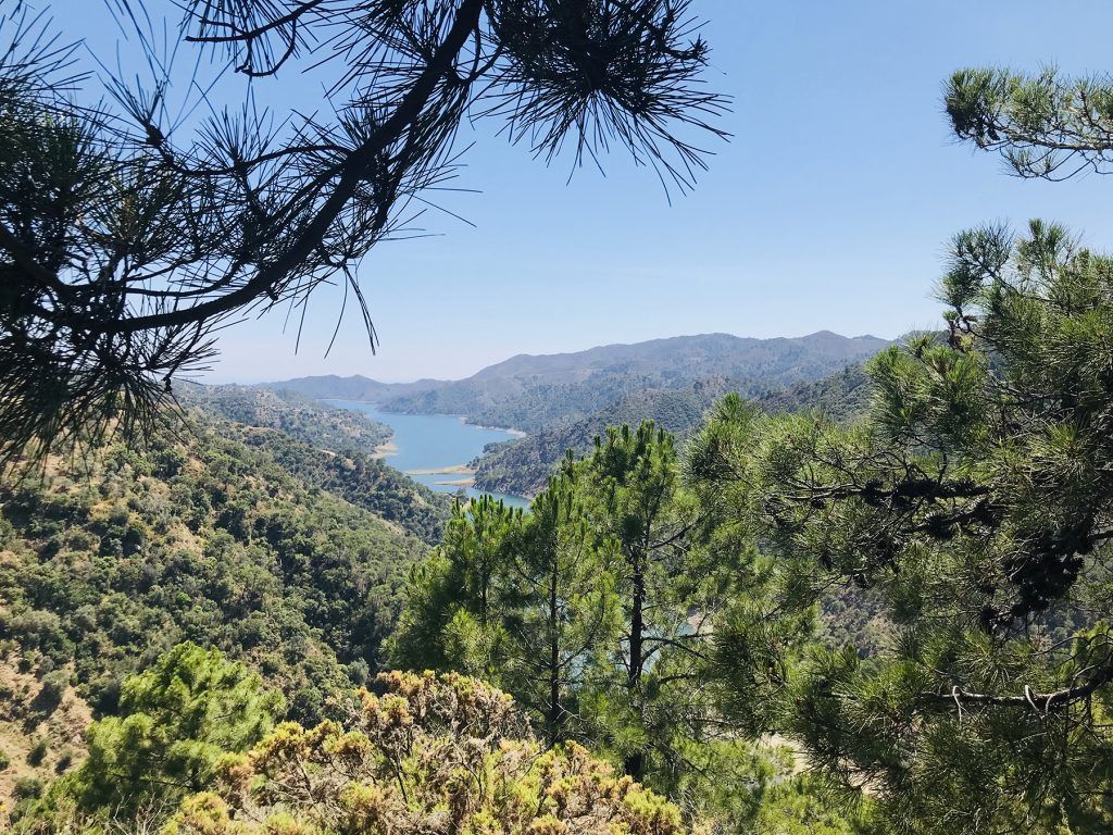 Things to do in Marbella