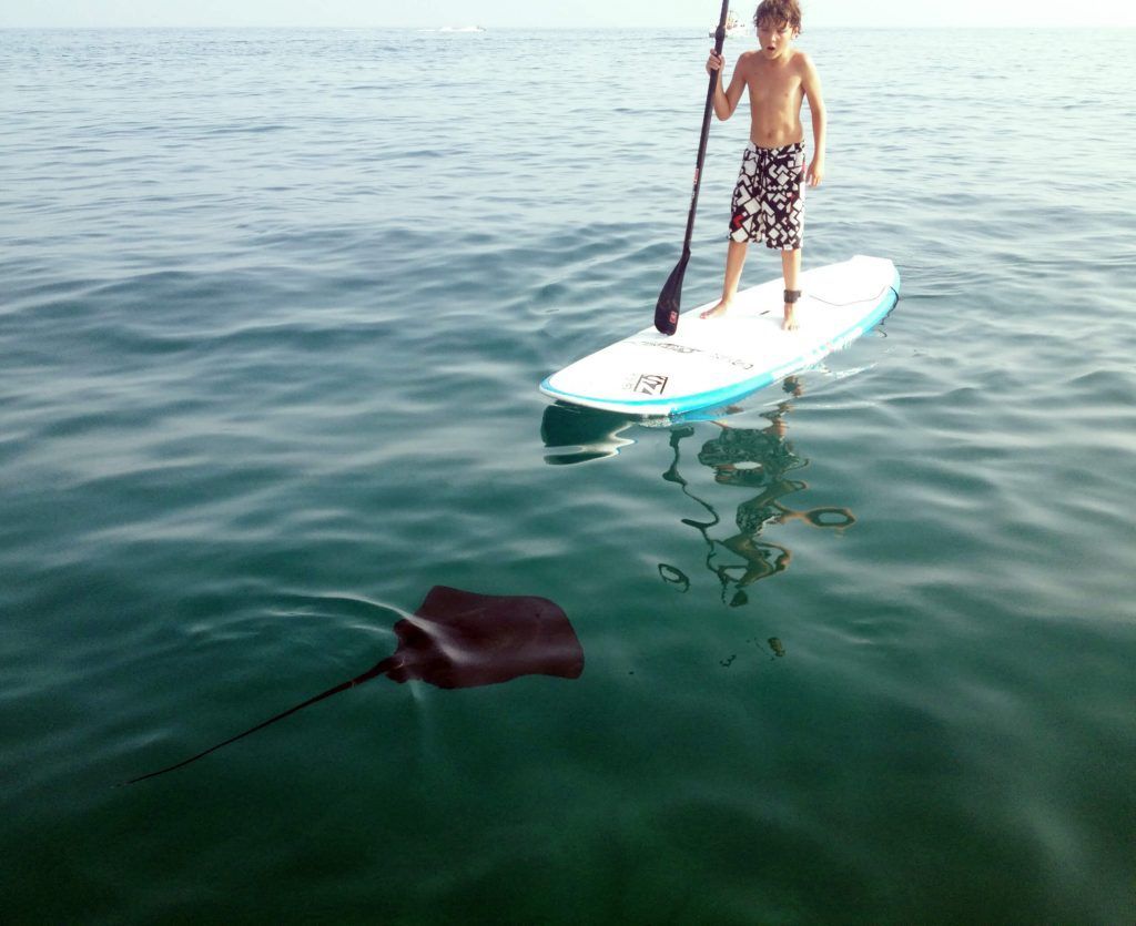 Family Paddle Boarding, SUP Tour, kid, manta ray