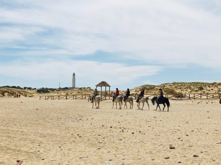 Horse riding tour in Andalucia