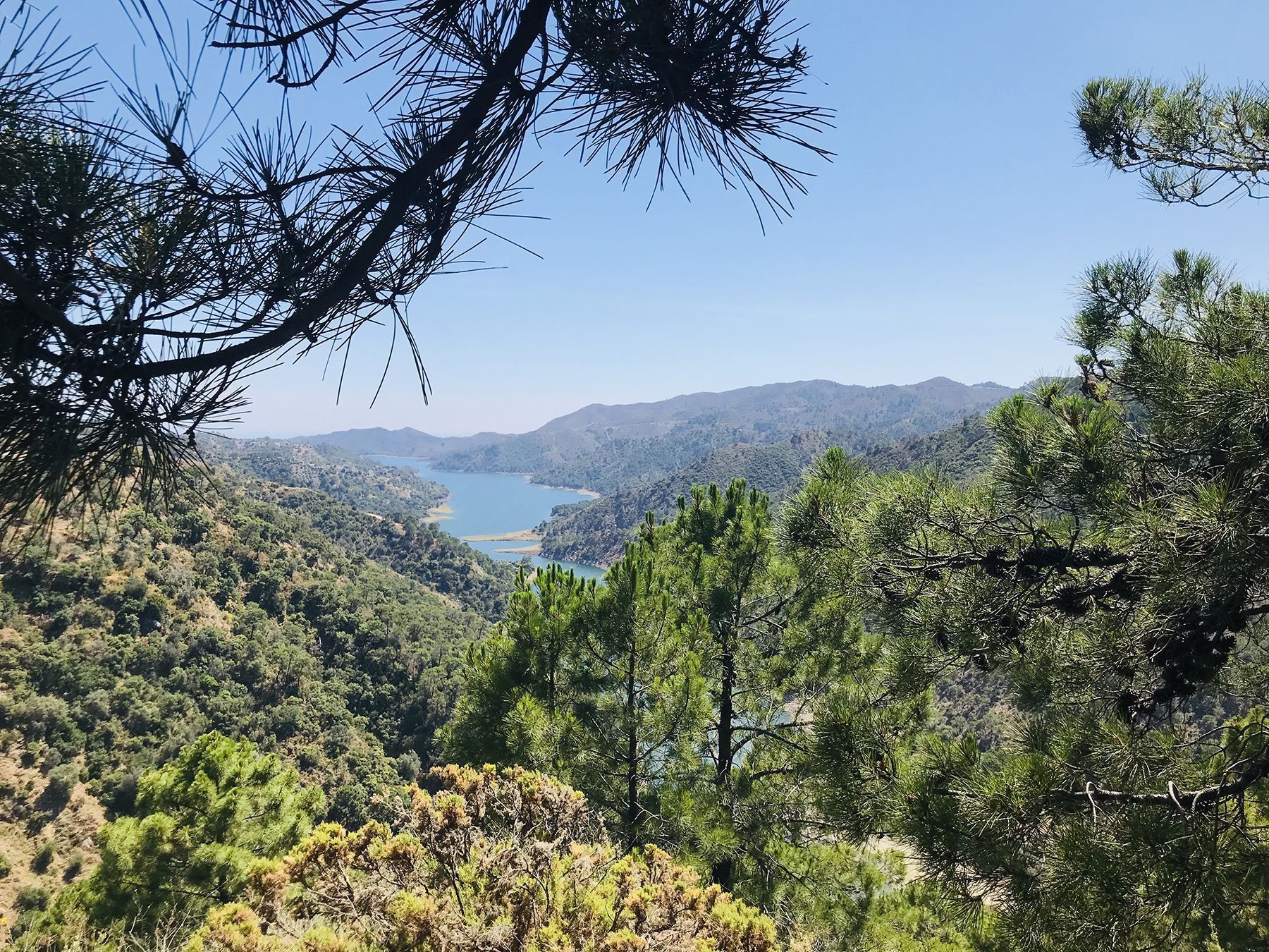 Things to do in Marbella