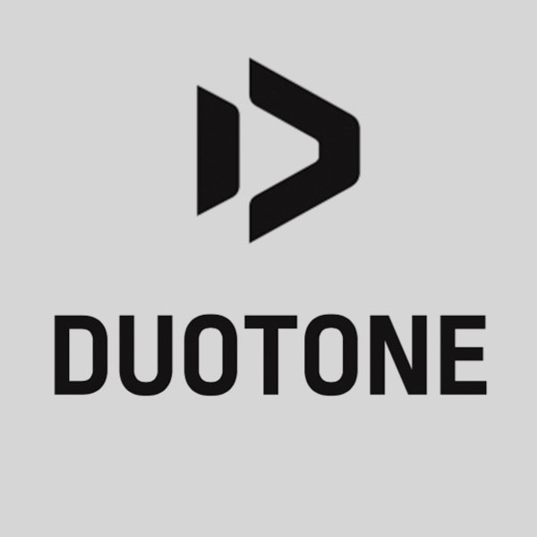 Logo duotone gris
